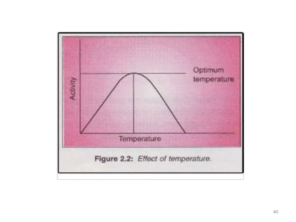 slide40