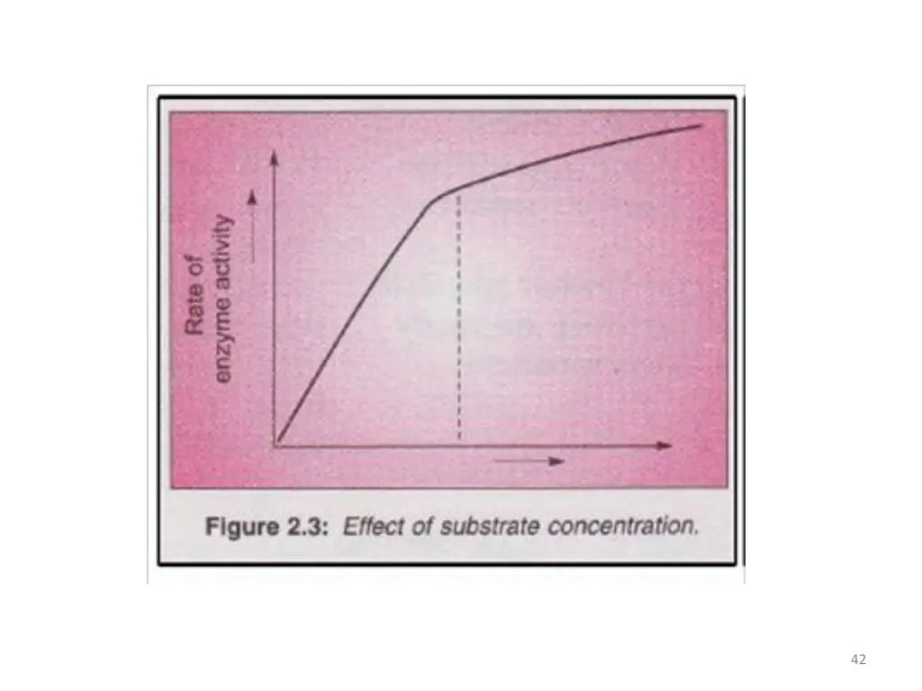slide42