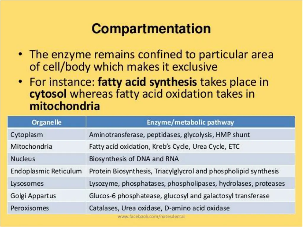 slide9