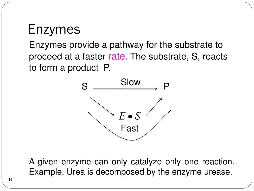 enzymes enzymes provide a pathway
