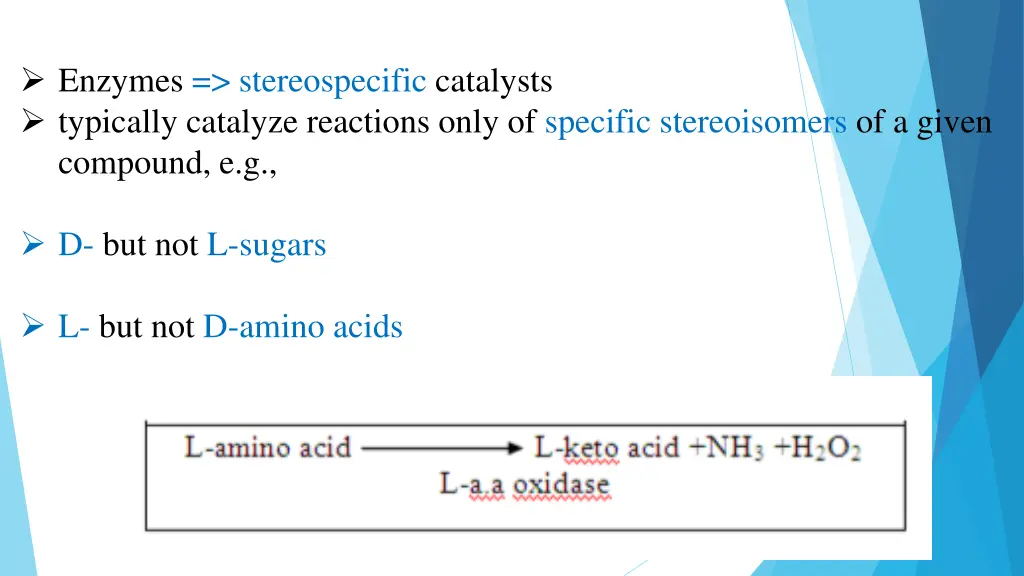 enzymes stereospecific catalysts typically
