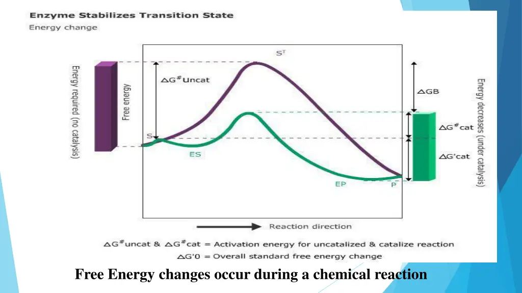 free energy changes occur during a chemical