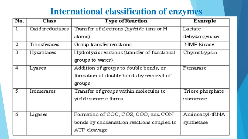 international classification of enzymes