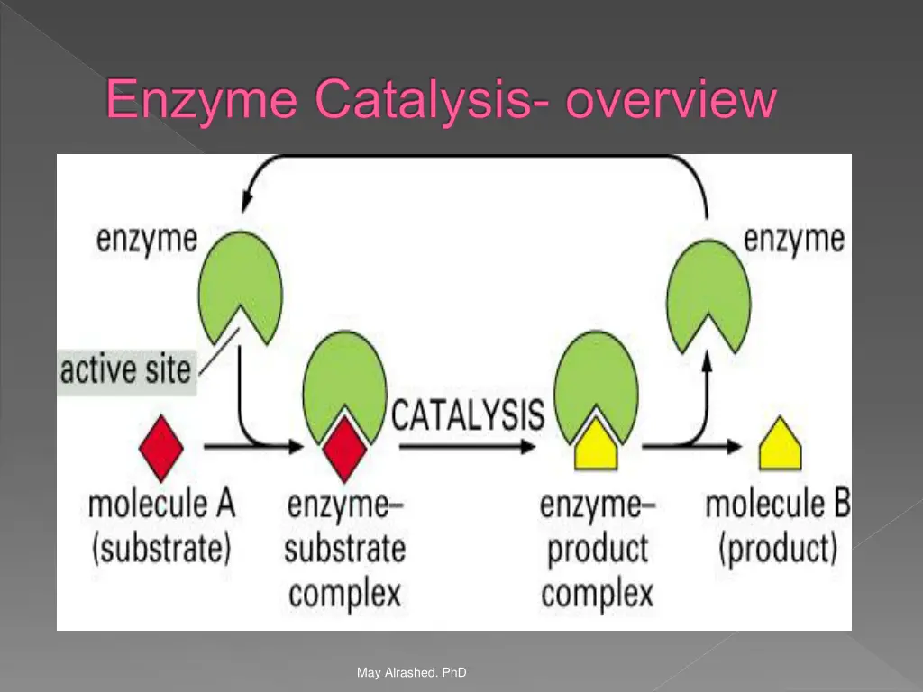 enzyme catalysis overview