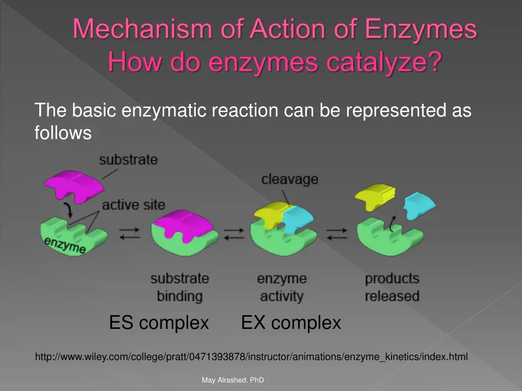 mechanism of action of enzymes how do enzymes