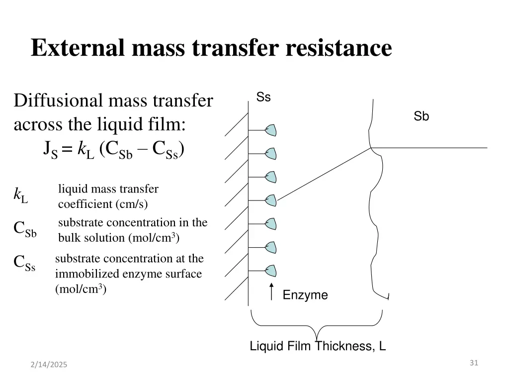external mass transfer resistance 1