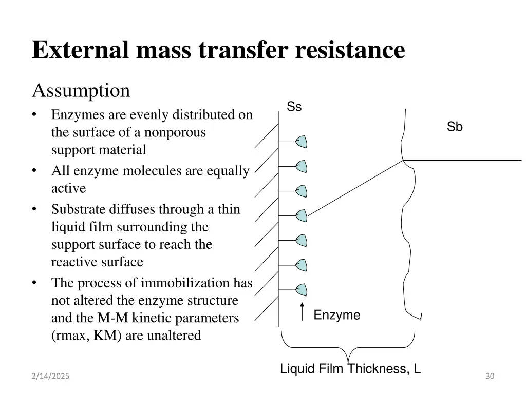 external mass transfer resistance