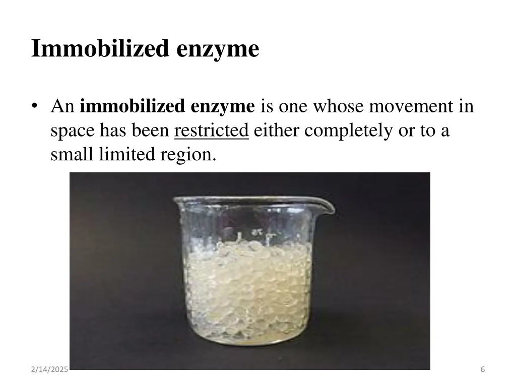 immobilized enzyme 1