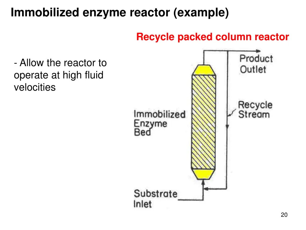 immobilized enzyme reactor example
