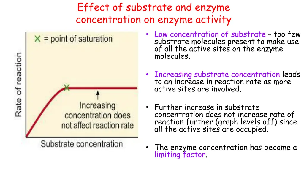effect of substrate and enzyme concentration