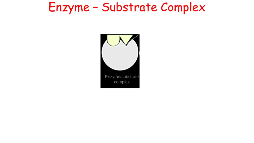 enzyme substrate complex