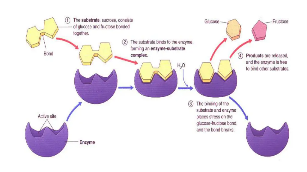 slide15