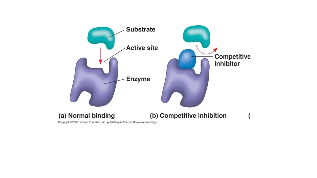 slide27