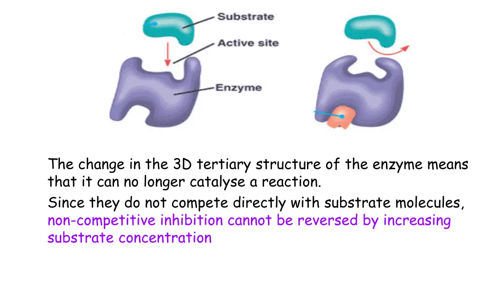 the change in the 3d tertiary structure