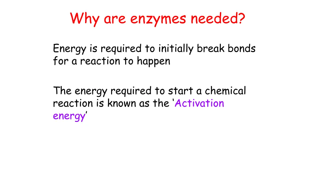 why are enzymes needed