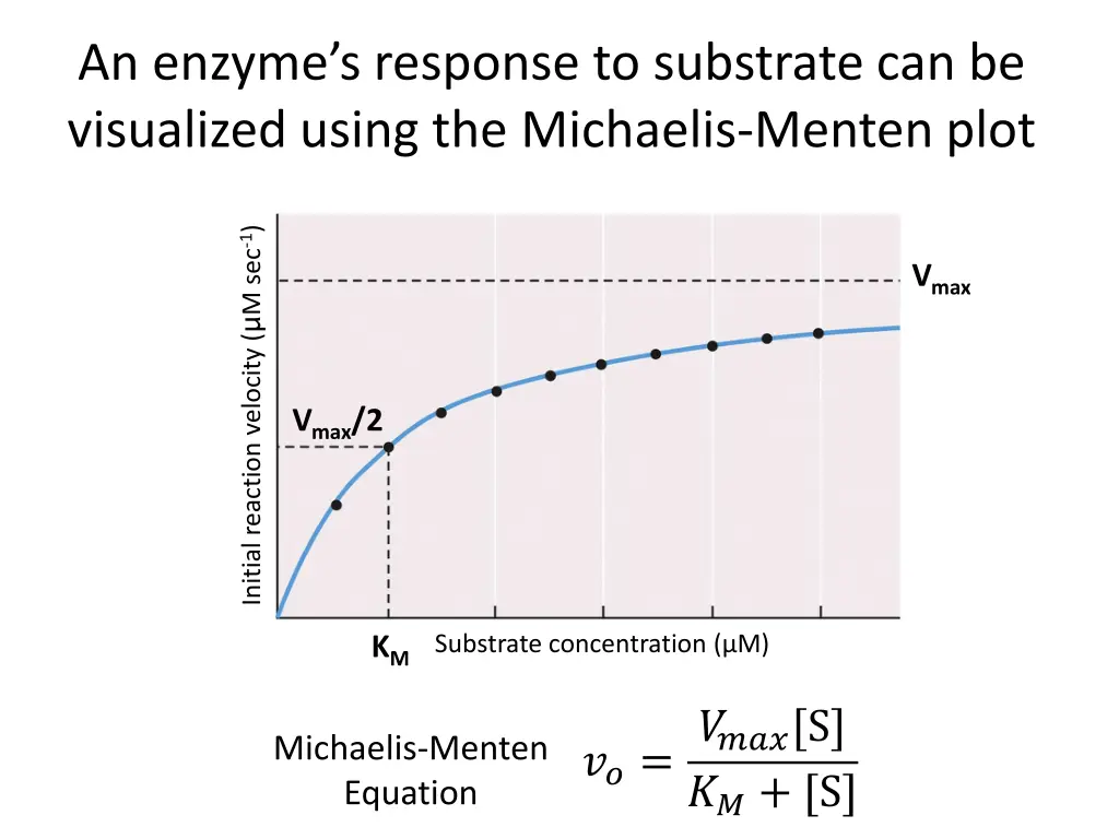 an enzyme s response to substrate