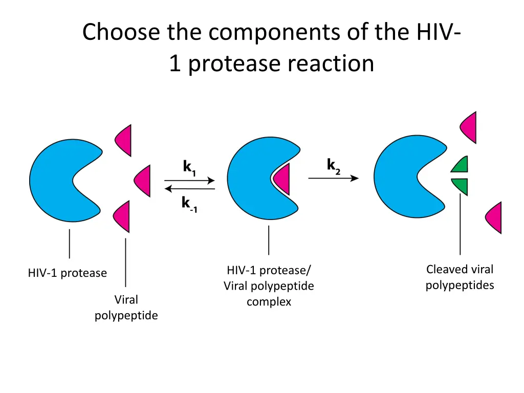 choose the components of the hiv 1 protease