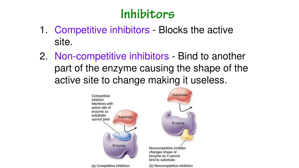 1 competitive inhibitors blocks the active site