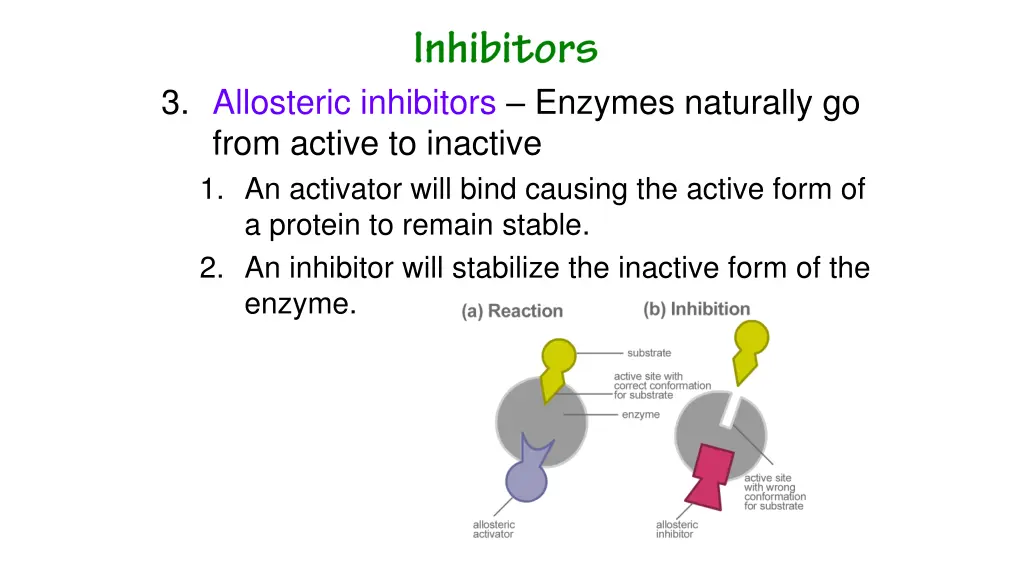 3 allosteric inhibitors enzymes naturally go from