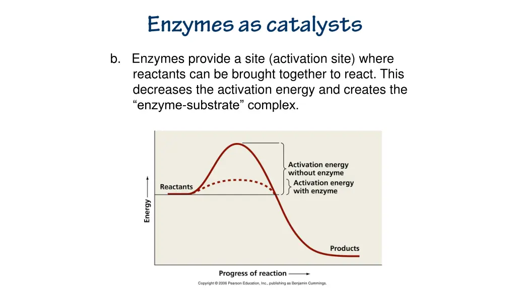 b enzymes provide a site activation site where