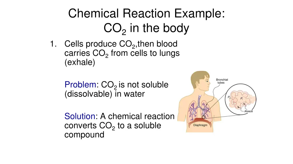 chemical reaction example co 2 in the body