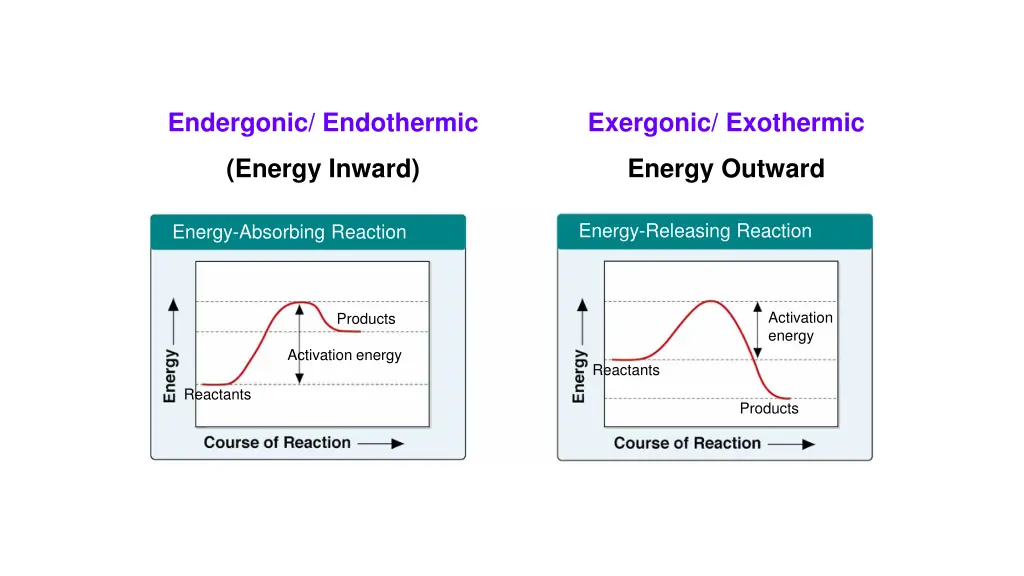 endergonic endothermic