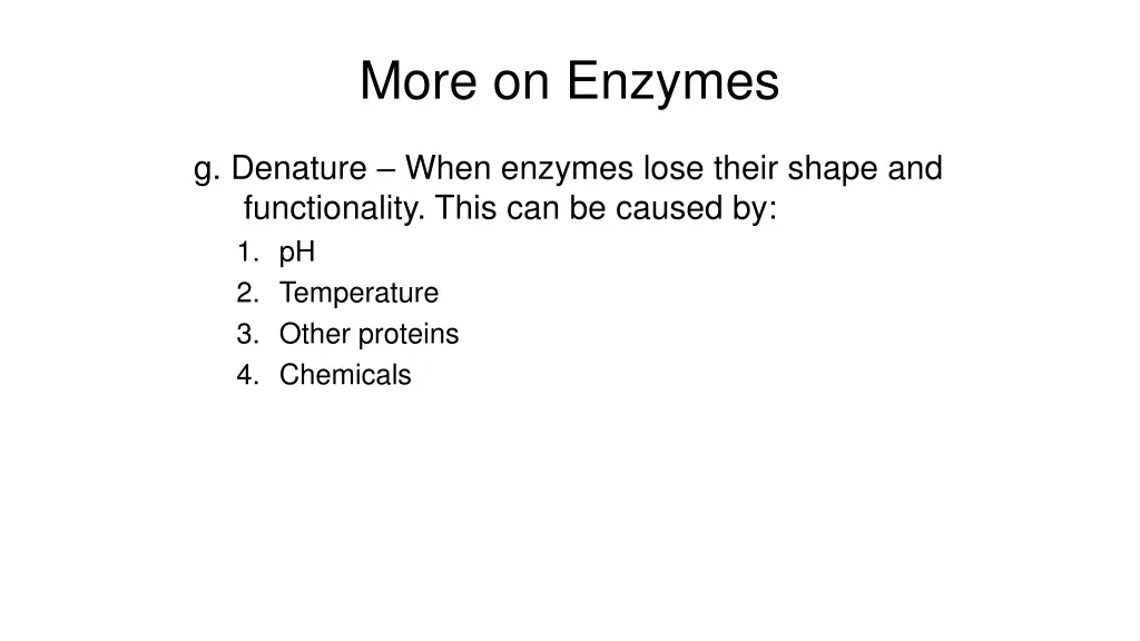 more on enzymes
