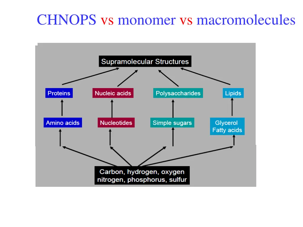 chnops vs monomer vs macromolecules