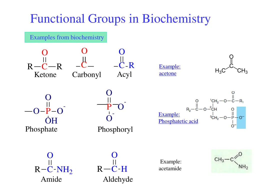 functional groups in biochemistry 1