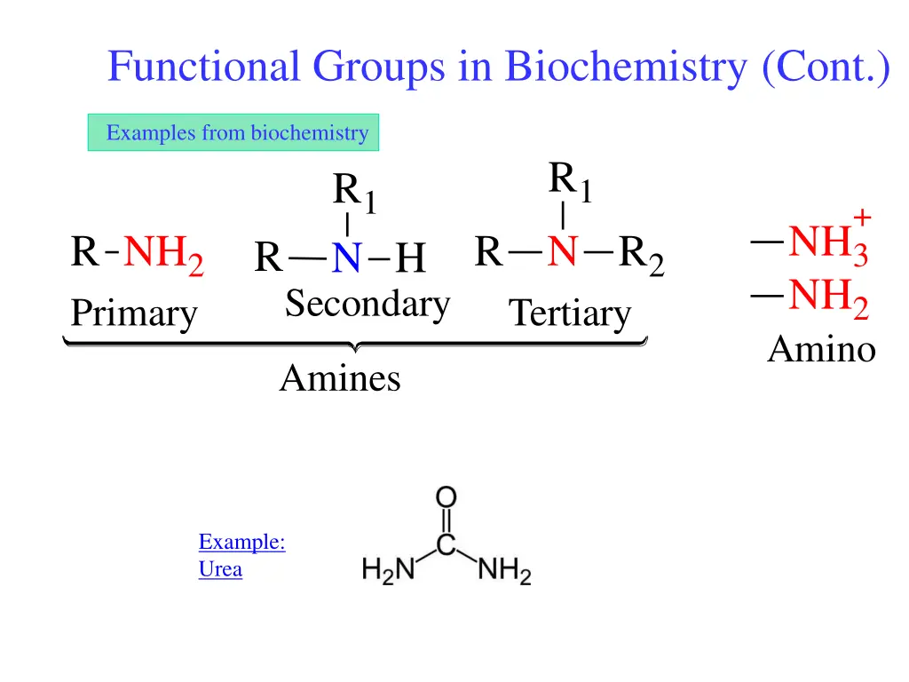 functional groups in biochemistry cont