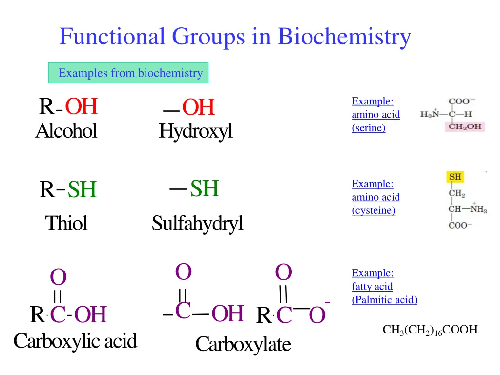 functional groups in biochemistry