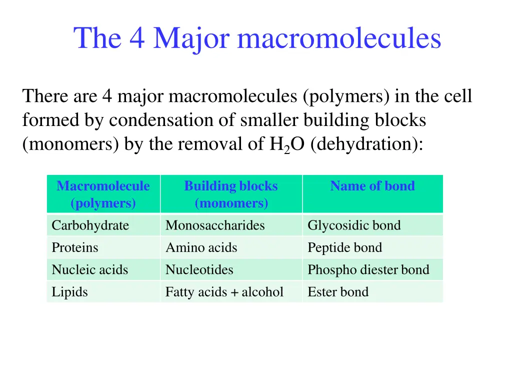 the 4 major macromolecules