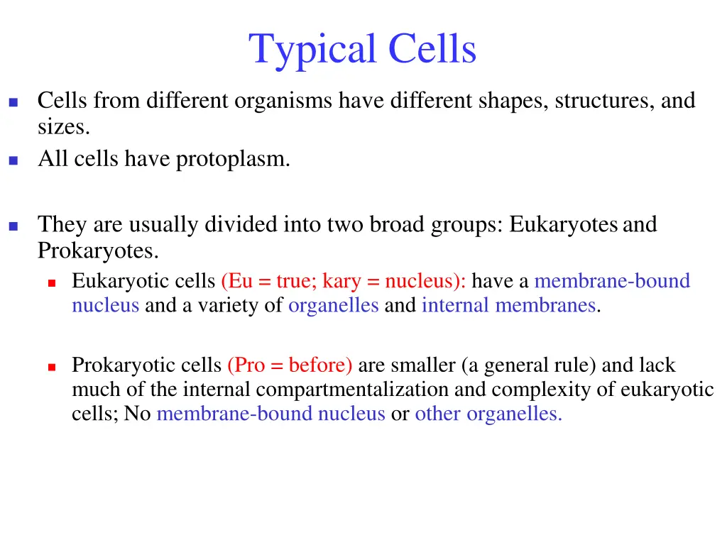 typical cells