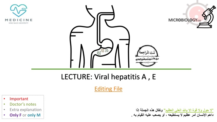 lecture viral hepatitis a e