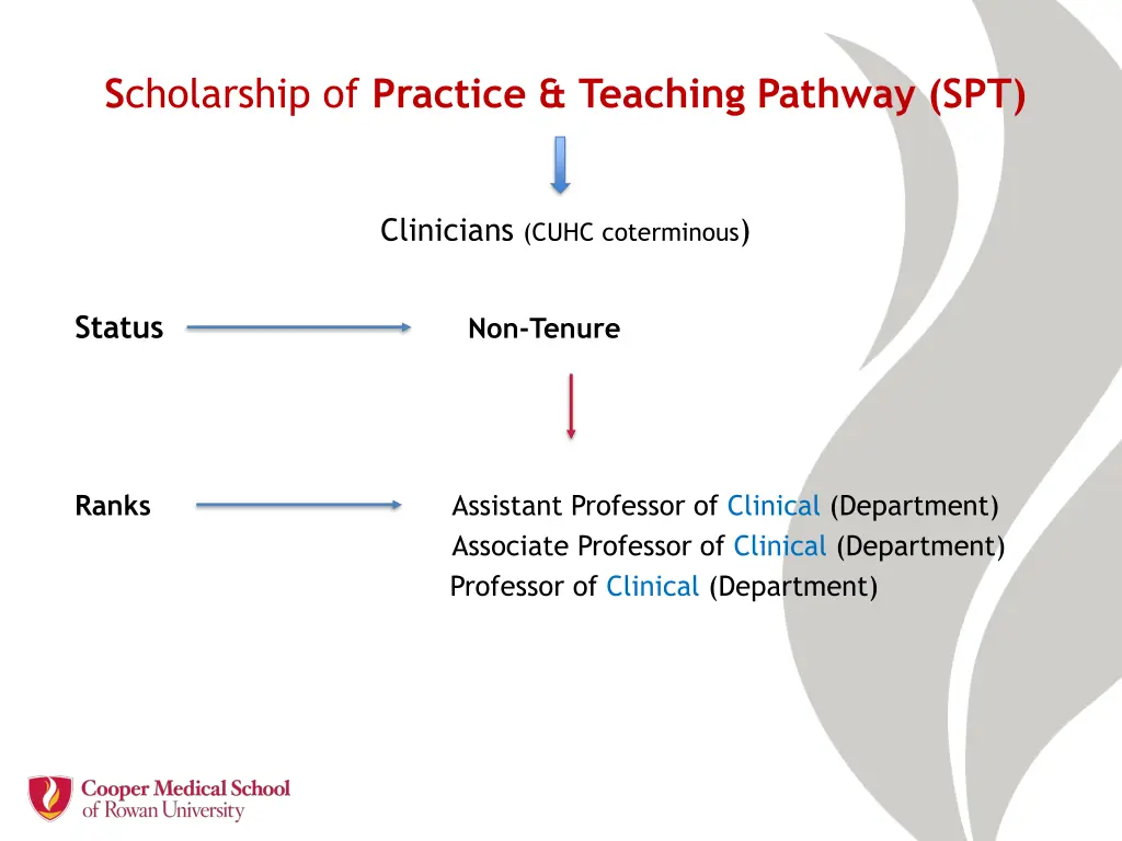 s cholarship of practice teaching pathway spt