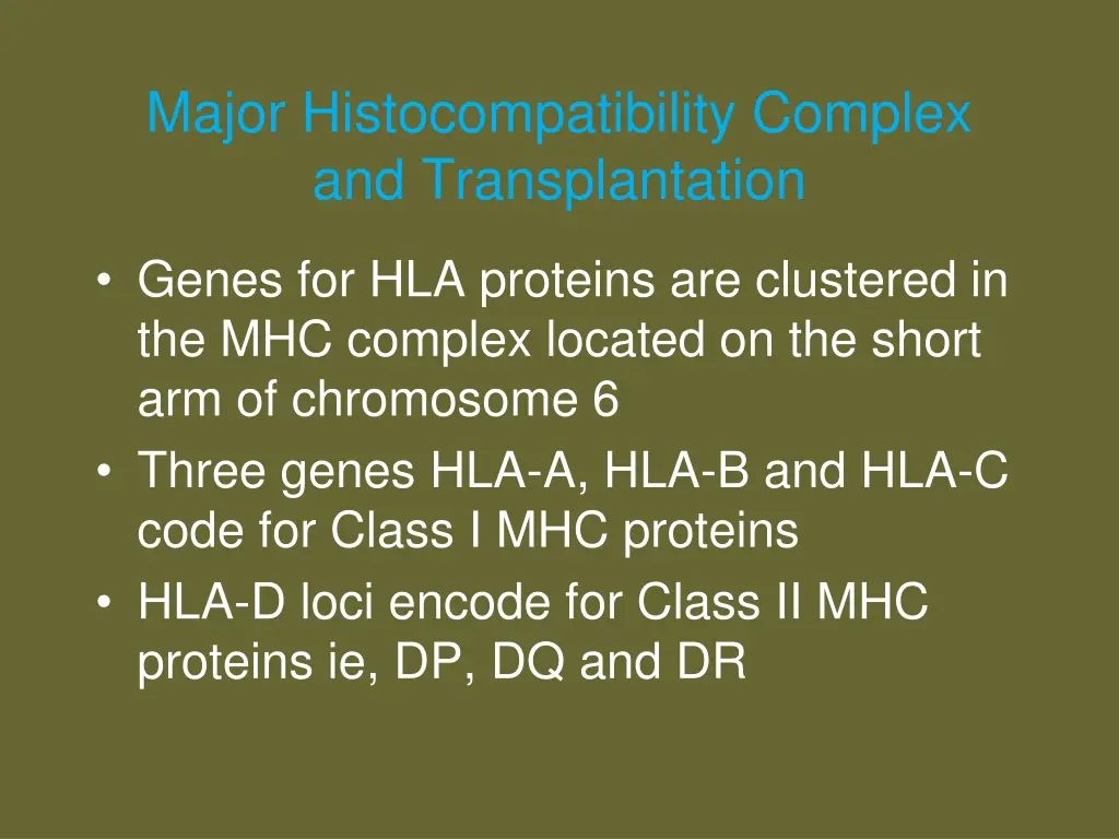 major histocompatibility complex 1