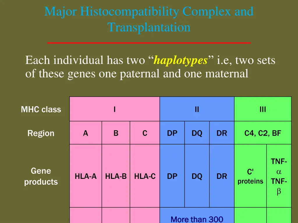 major histocompatibility complex 2