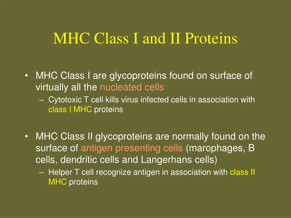 mhc class i and ii proteins