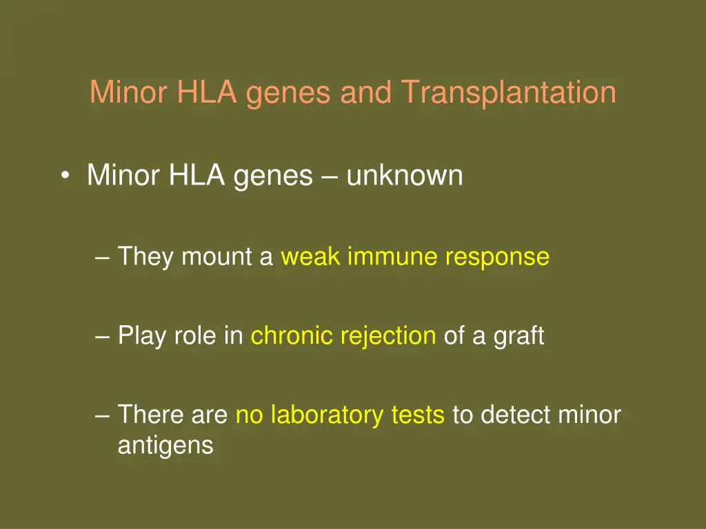 minor hla genes and transplantation
