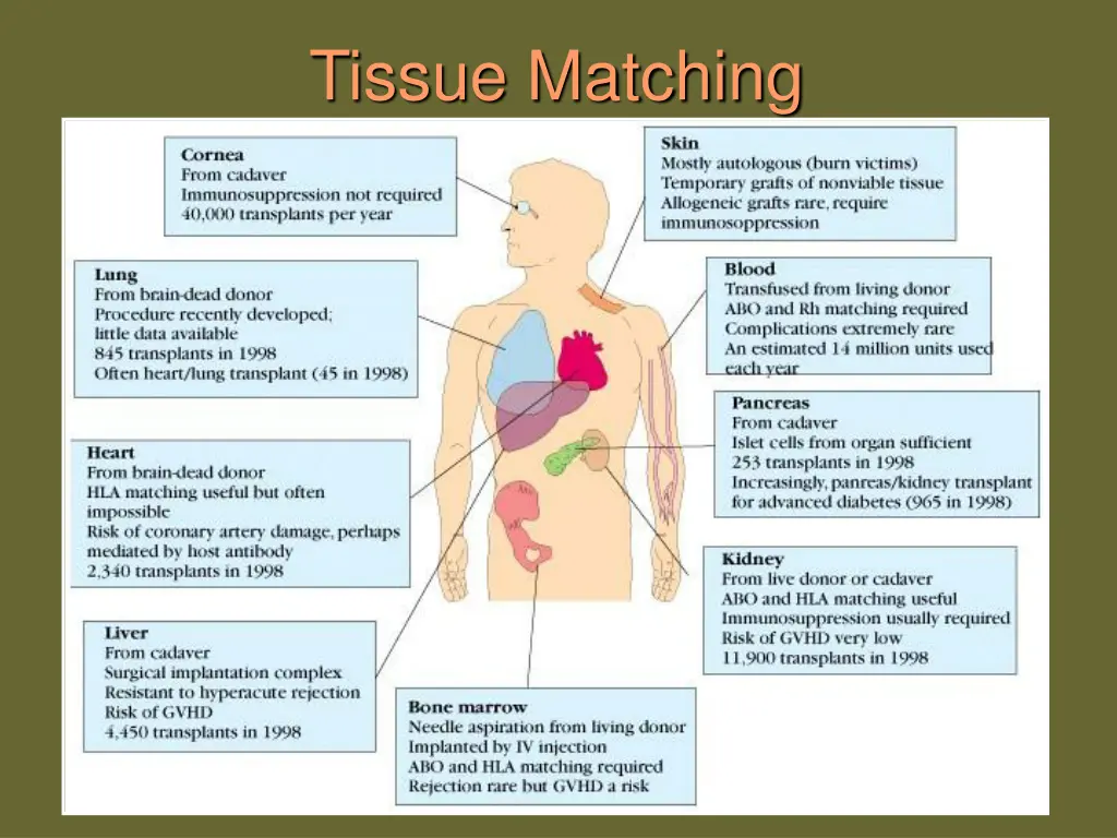 tissue matching 1