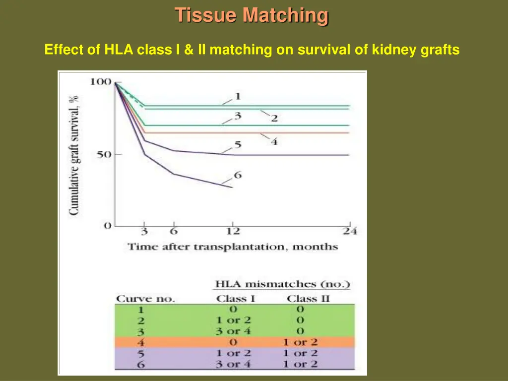 tissue matching