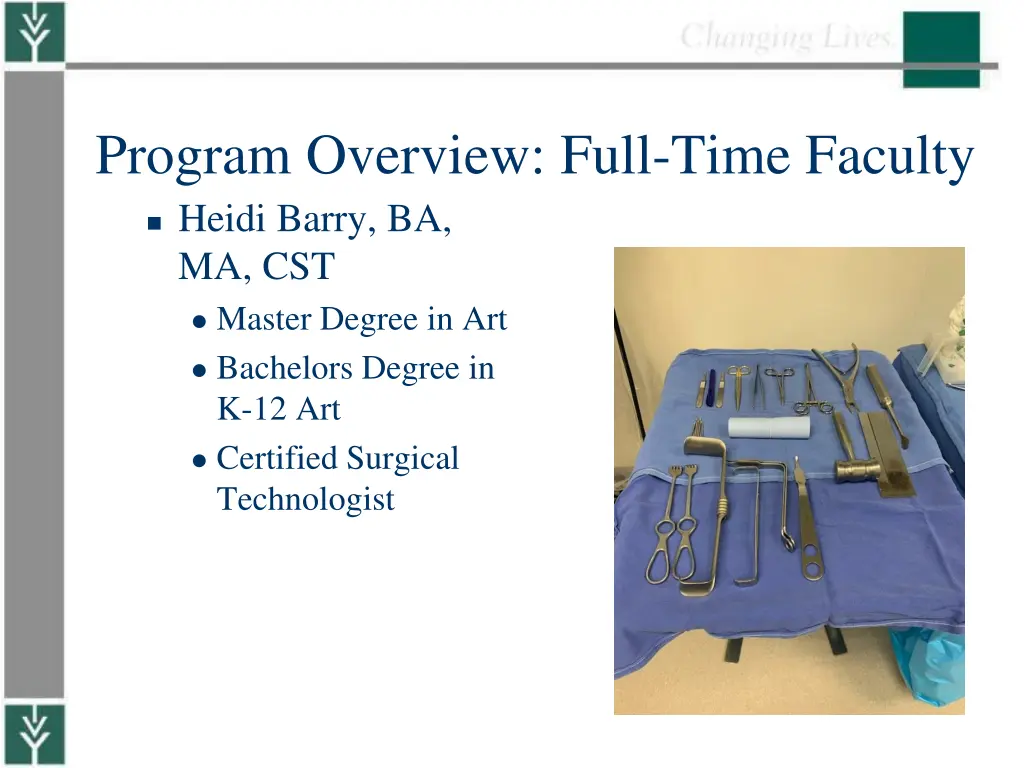 program overview full time faculty heidi barry
