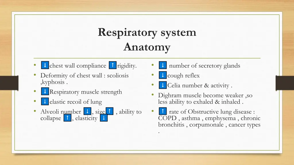 respiratory system anatomy