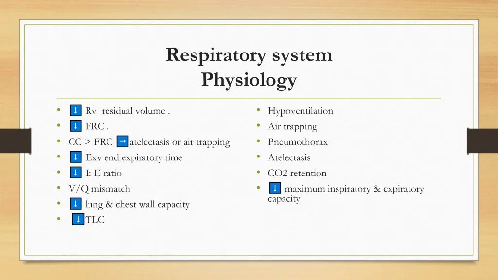 respiratory system physiology