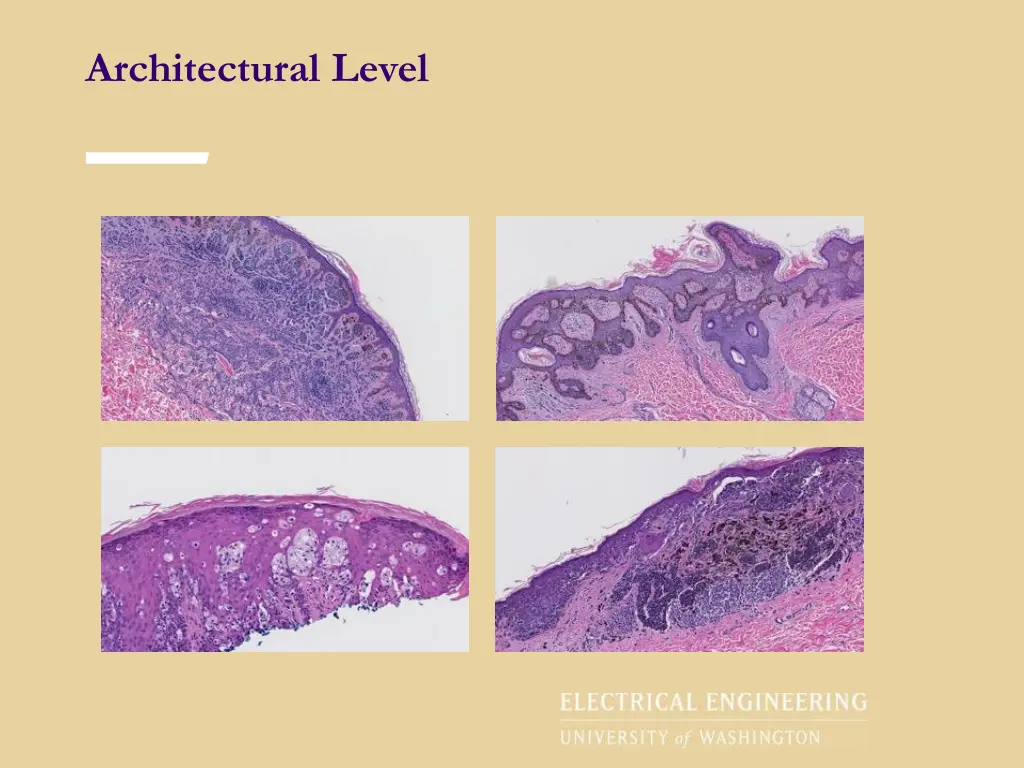 architectural level