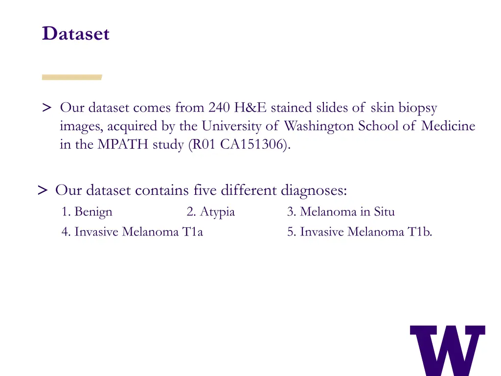 dataset