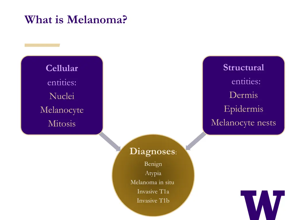 what is melanoma 2