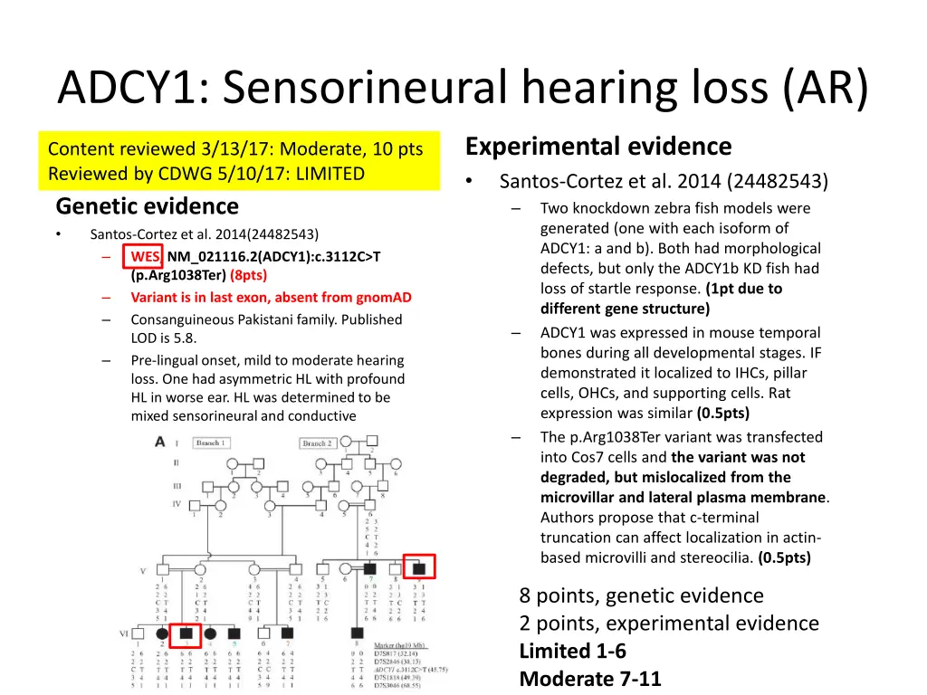 adcy1 sensorineural hearing loss ar