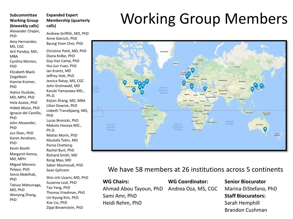 working group members