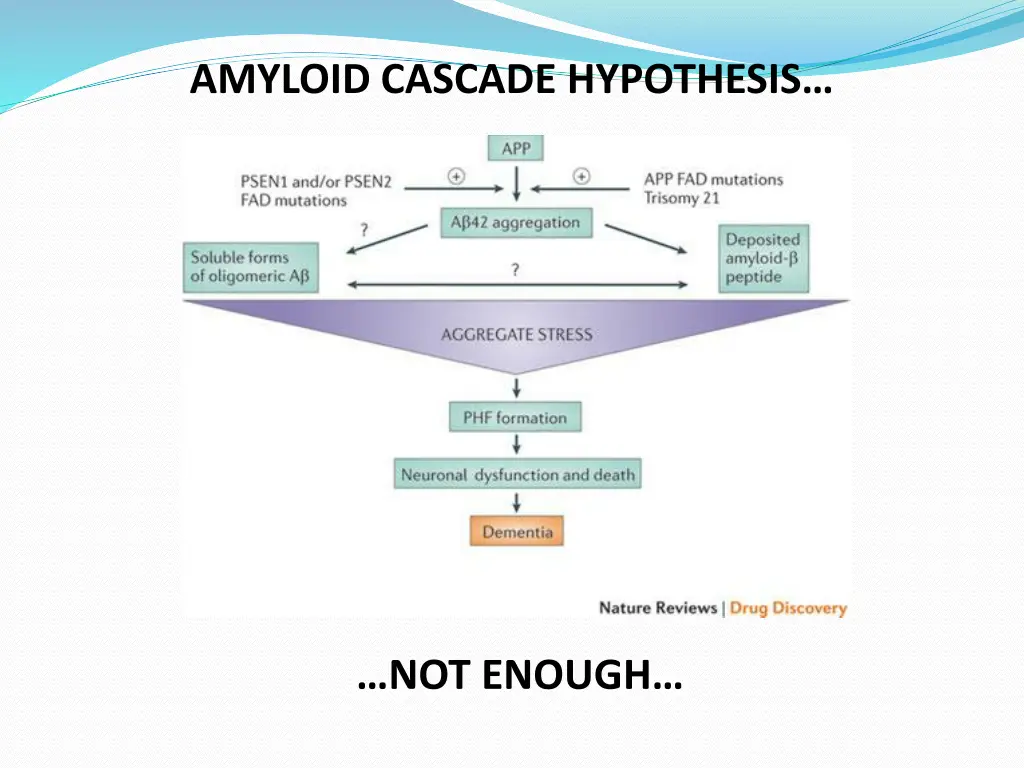 amyloid cascade hypothesis